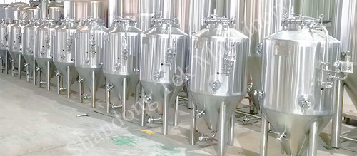 mini FermenterS.jpg